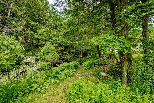 Terre/Terrain - 695 Ch. De Stanstead, Ogden, QC 