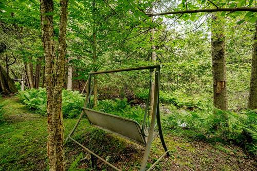 Terre/Terrain - 695 Ch. De Stanstead, Ogden, QC 