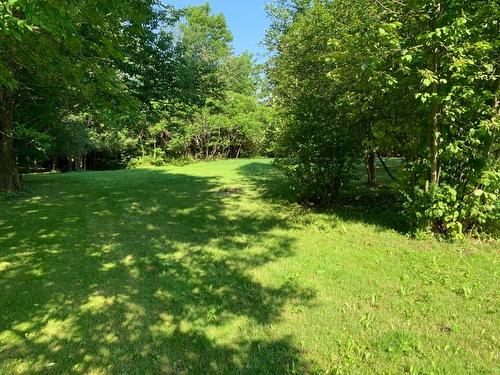 Terre/Terrain - 695 Ch. De Stanstead, Ogden, QC 
