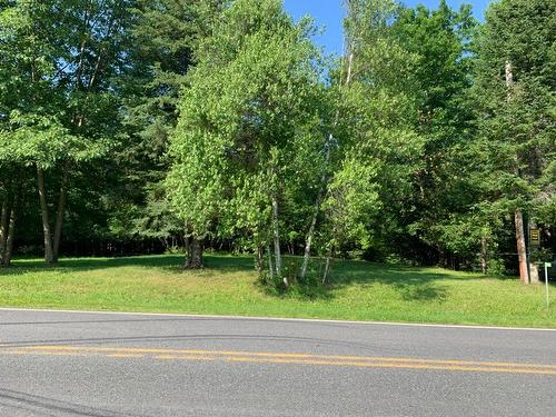 Terre/Terrain - 695 Ch. De Stanstead, Ogden, QC 