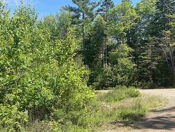 0 Lake Mulgrave Road  Victory, NS B0S 1B0