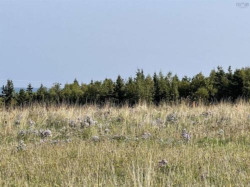 Lot 38 Sea Glass Terrace, Pugwash, NS 