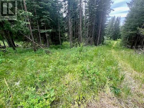 820 Kane Valley Road, Merritt, BC - Outdoor