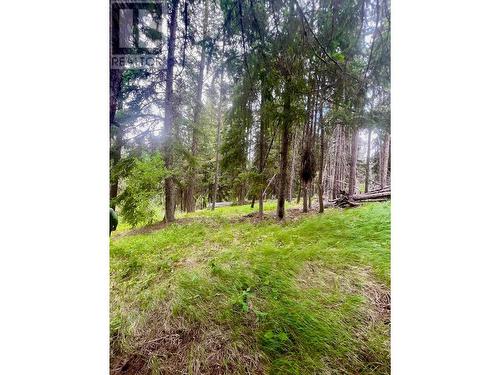 820 Kane Valley Road, Merritt, BC - Outdoor With View