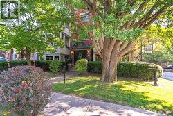 9B HUMEWOOD DRIVE  Toronto, ON M6C 1C9