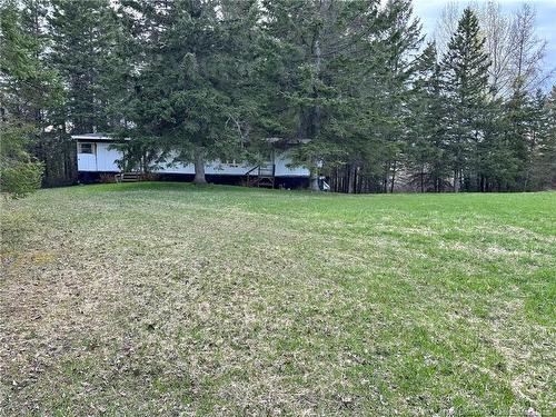 124 Francoeur Hill Rd, New Denmark, NB 