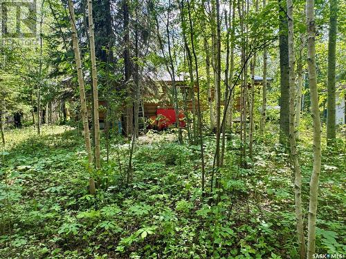 206 Spruce Street, Northern Admin District, SK - Outdoor