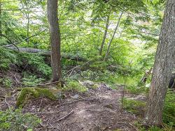 River Road  Plymouth, NS B2H 5C5