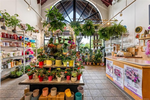 107-4430 West Saanich Rd, Saanich, BC 