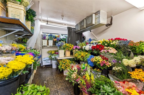 107-4430 West Saanich Rd, Saanich, BC 