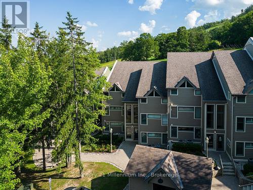 121 - 796404 Grey Road 19, Blue Mountains, ON - Outdoor