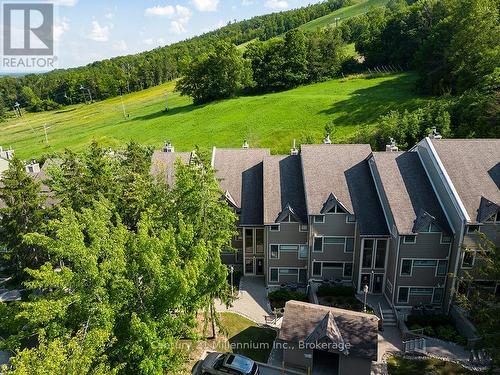 121 - 796404 Grey Road 19, Blue Mountains, ON - Outdoor