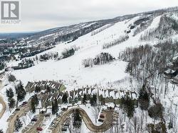 121 - 796404 GREY ROAD 19  Blue Mountains, ON L9Y 0N8