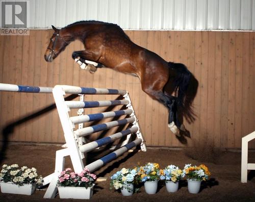 910 Lumby Mabel Lake Road, Lumby, BC 