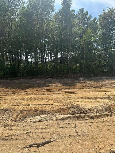 Terre/Terrain - 940 Ch. Des Daniel, Shawinigan, QC - Outdoor With View