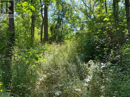 Pt Lt 3 Effingham Street, Pelham (North Pelham), ON 