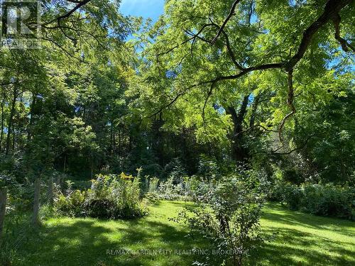 Pt Lt 3 Effingham Street, Pelham (North Pelham), ON 