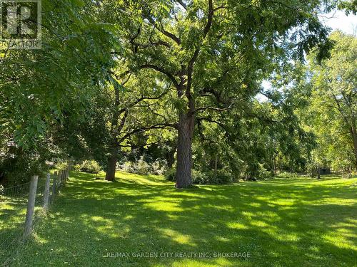 Pt Lt 3 Effingham Street, Pelham (North Pelham), ON 