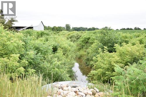 15686 Muirkirk Line, Muirkirk, ON 