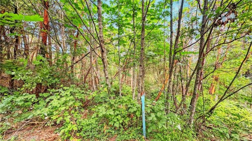 286 King Rd, Nanaimo, BC 