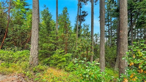 286 King Rd, Nanaimo, BC 