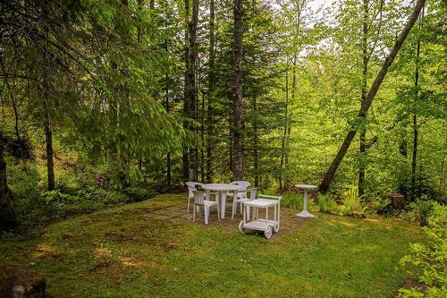 Cour - 330  - 330A Rue De L'Edelweiss, Sainte-Agathe-Des-Monts, QC - Outdoor