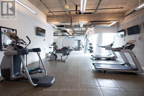 Dalton Brown Gym - 1805 - 111 Champagne Avenue, Ottawa, ON - Indoor Photo Showing Gym Room