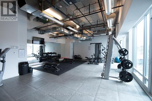 Dalton Brown Gym - 1805 - 111 Champagne Avenue, Ottawa, ON - Indoor Photo Showing Gym Room