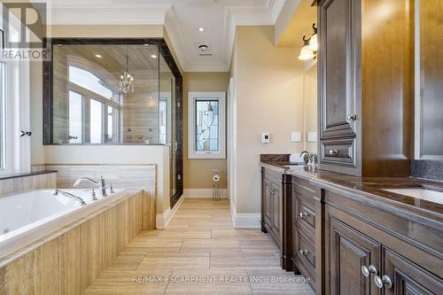 56 Aquamarine Drive, Hamilton, ON - Indoor Photo Showing Bathroom