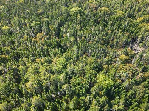 Lot 76 Peter Sosna Dr., Hay Cove, NS 