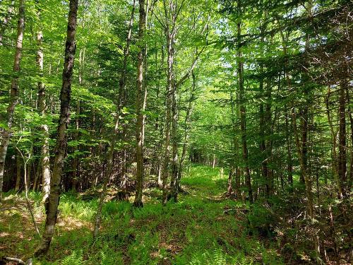Lot 76 Peter Sosna Dr., Hay Cove, NS 