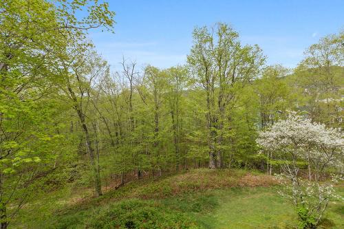 View - 8-104 Ch. Des Quatre-Sommets, Mont-Tremblant, QC - Outdoor With View