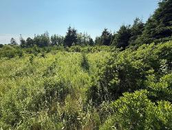 46 Sheri Court  Birch Hill, PE C0B 2C0