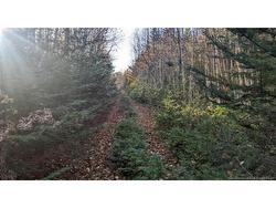 - Old Great RD  Hopewell Cape, NB E4H 3J6