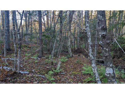 - Old Great Rd, Hopewell Cape, NB 