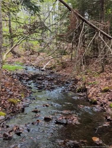 - Old Great Rd, Hopewell Cape, NB 
