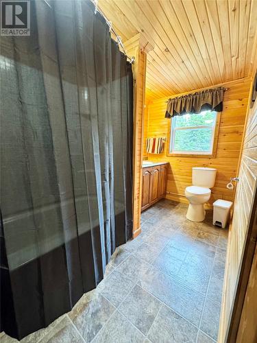 0 Birchy Bay Pond, Birchy Bay, NL - Indoor Photo Showing Bathroom