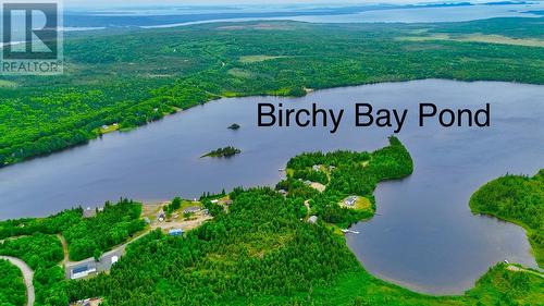 0 Birchy Bay Pond, Birchy Bay, NL - Outdoor With Body Of Water With View