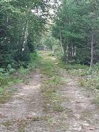 297 Ch. des Saules  L'Ascension, QC J0T 1W0