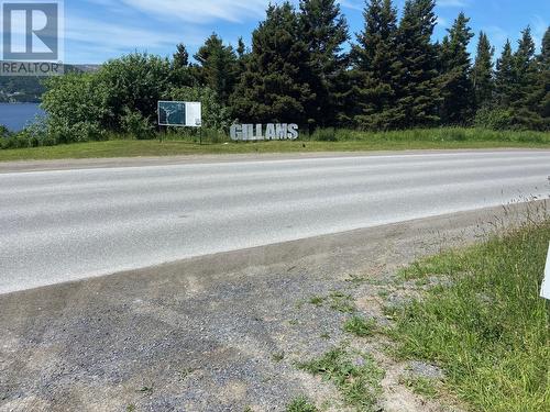 60-62 North Shore Highway, Gillams, NL - Outdoor With View