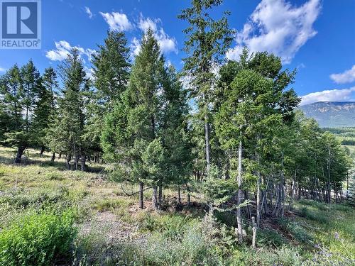 2522 Ledgerock Ridge, Invermere, BC 