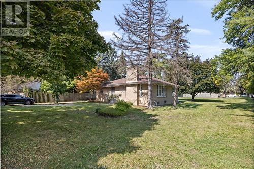 3985 Dougall Ave., Windsor, ON - Outdoor