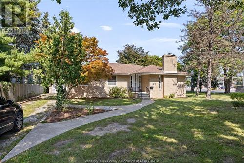 3985 Dougall Ave., Windsor, ON - Outdoor