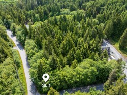 17204 Osprey Pl  Port Renfrew, BC V0S 1K0