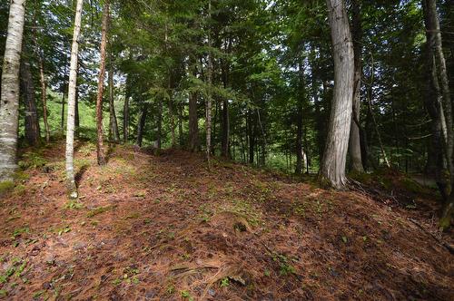 Land/Lot - 11049 Ch. Chadrofer, Labelle, QC - Outdoor With View