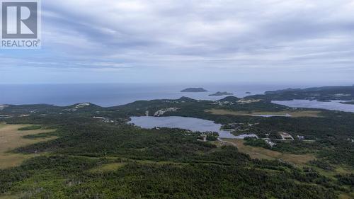56 Mobile First Pond Road, Mobile, NL - Outdoor With View