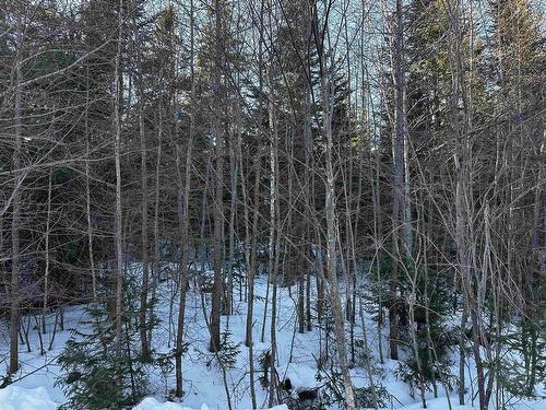 Emerald Drive, Whycocomagh Portage, NS 