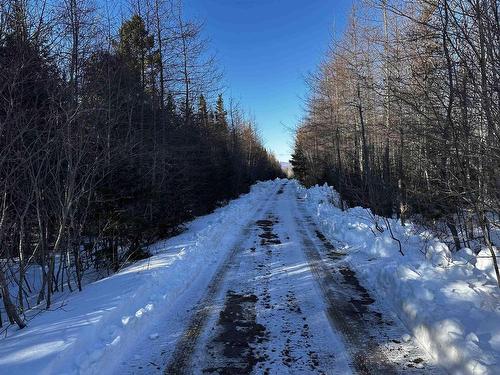 Emerald Drive, Whycocomagh Portage, NS 