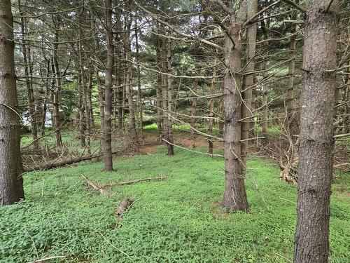 Lot 3 Salmon River Road, Murray Siding, NS 