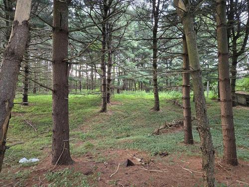 Lot 3 Salmon River Road, Murray Siding, NS 